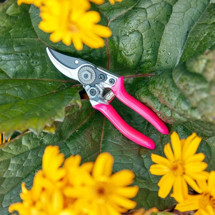 Burgon & Ball - FloraBrite® Pink Pocket Pruner